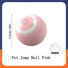 Smart Pet Toy Ball