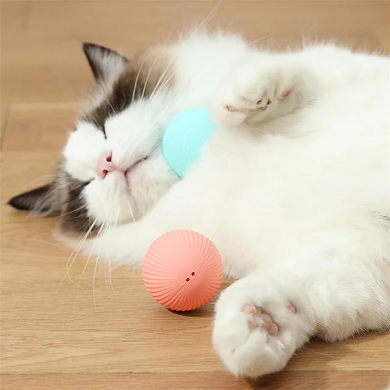 Smart Pet Toy Ball