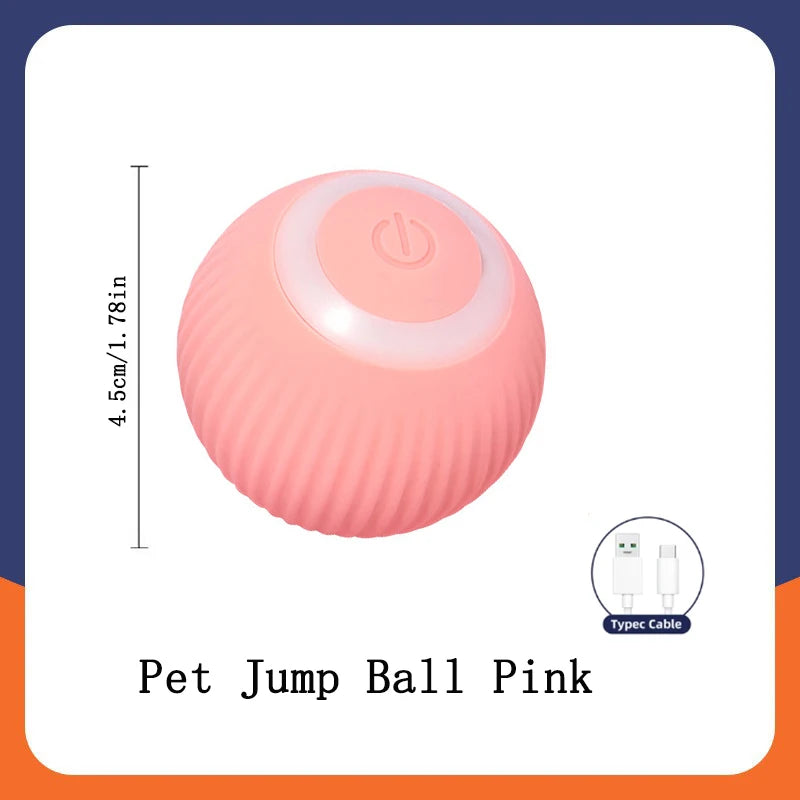 Smart Pet Toy Ball