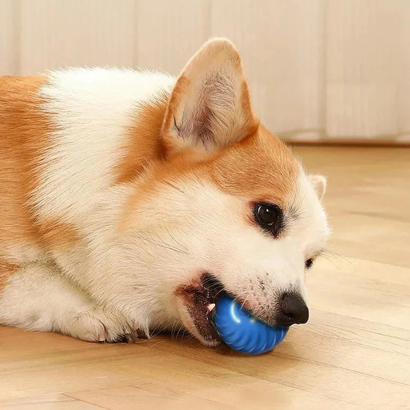 Smart Pet Toy Ball