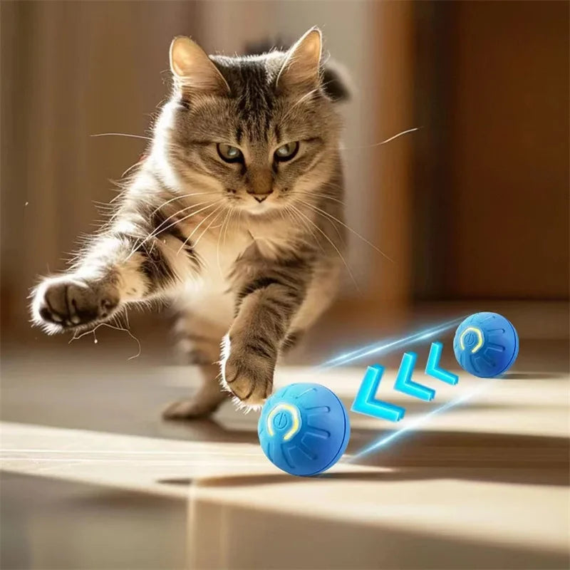 Smart Pet Toy Ball