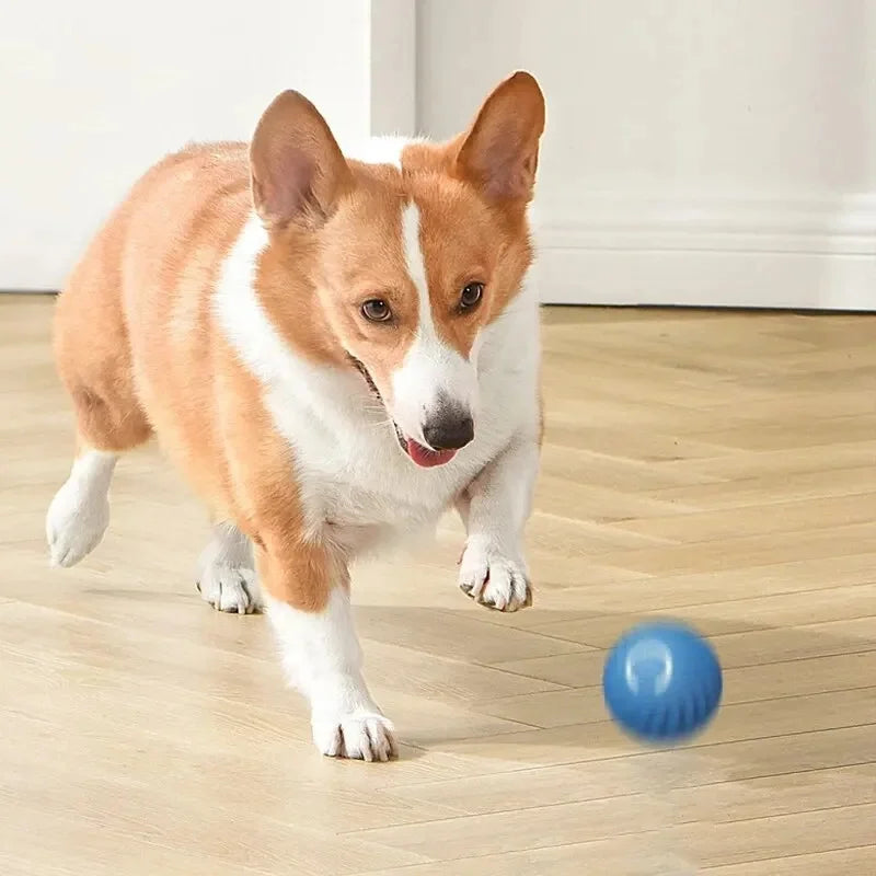 Smart Pet Toy Ball
