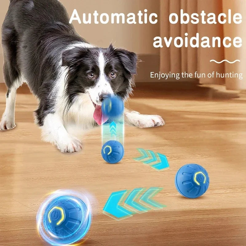 Smart Pet Toy Ball