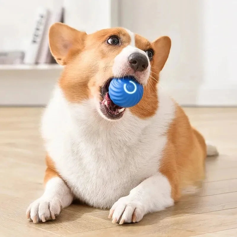 Smart Pet Toy Ball