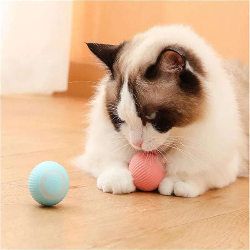 Smart Pet Toy Ball