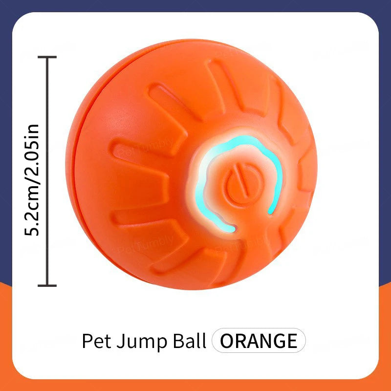 Smart Pet Toy Ball